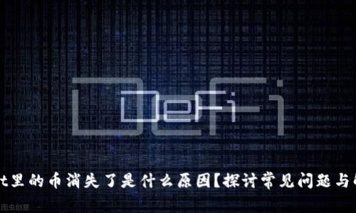 TPWallet里的币消失了是什么原因？探讨常见问题与解决方案