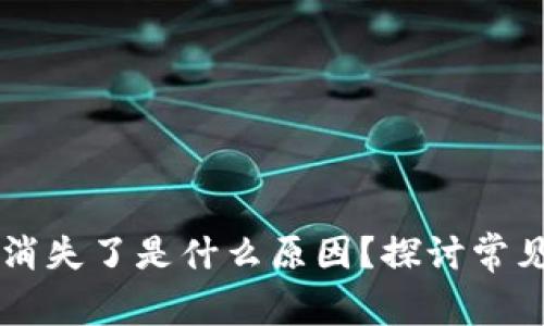 TPWallet里的币消失了是什么原因？探讨常见问题与解决方案
