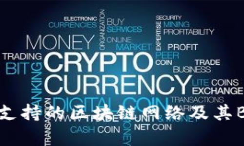 TP桌面版钱包支持的区块链网络及其BSC兼容性分析