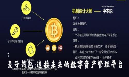 :
麦子钱包:连接未来的数字资产管理平台