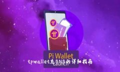 tpwallet充BNB的详细指南
