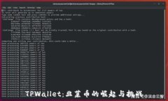   TPWallet：韭菜币的崛起与挑战