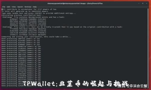 TPWallet:韭菜币的崛起与挑战