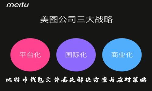 比特币钱包文件丢失解决方案与应对策略