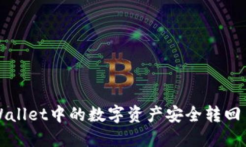 如何将TPWallet中的数字资产安全转回币安交易所?