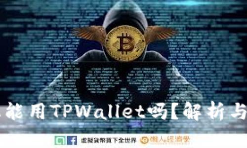 苹果手机能用TPWallet吗？解析与使用指南
