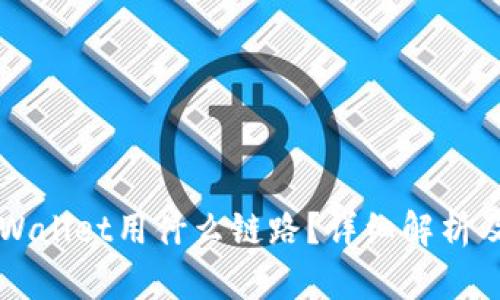 提币到TPWallet用什么链路?详细解析及使用指南