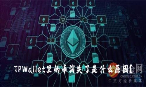 TPWallet里的币消失了是什么原因?