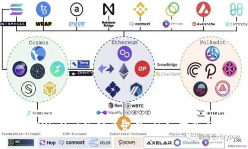 TPWallet私钥忘记了,该如何找回?