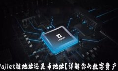 转到TPWallet链地址还是币地址？详解你的数字资产