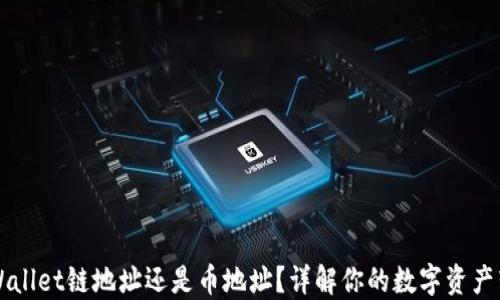 转到TPWallet链地址还是币地址?详解你的数字资产转移选择