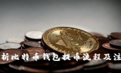 全面解析比特币钱包提币流程及注意事项