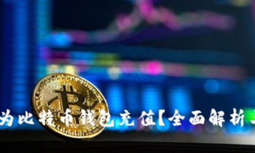 WMZ能否为比特币钱包充值？全面解析与实用指南