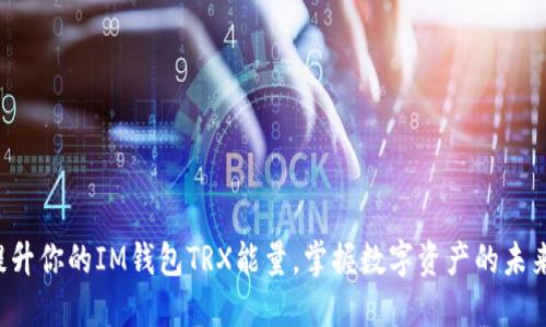 提升你的IM钱包TRX能量，掌握数字资产的未来!